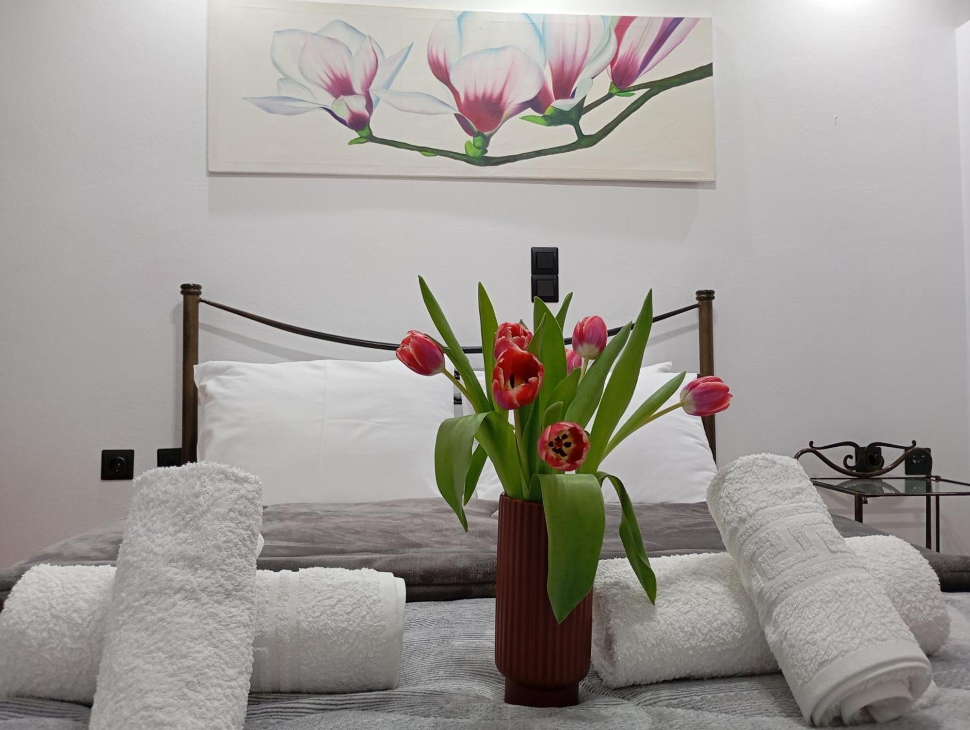 Mesolóngion Vaso'S Appartments A מראה חיצוני תמונה