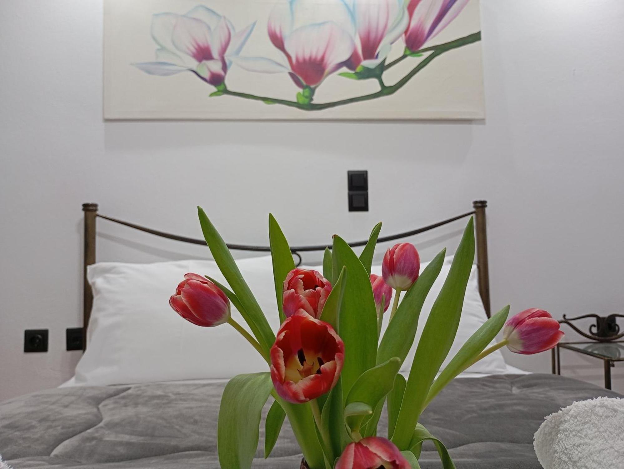 Mesolóngion Vaso'S Appartments A מראה חיצוני תמונה